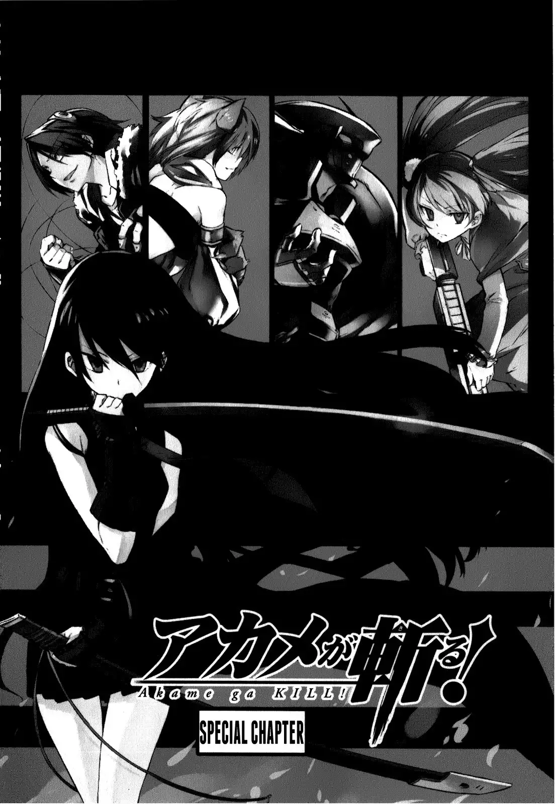 Akame ga Kill! Chapter 23.005 6